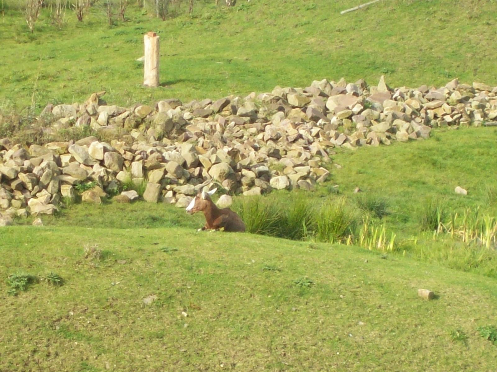 Zoom 18.10.2008-109.jpg